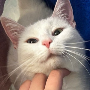 Анастасия Нефедова | Сетка — социальная сеть от hh.ru