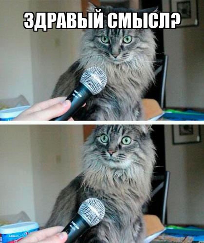 Когда-то давно я переходила из продуктового маркетинга в управление продуктом, и попросила созвониться поболтать про профессию продката условного коллегу - никогда не пересекались, но он был в междуна... | Сетка — социальная сеть от hh.ru