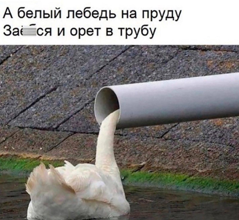 Всем шикарной пятницы и легкости ;) | Сетка — социальная сеть от hh.ru