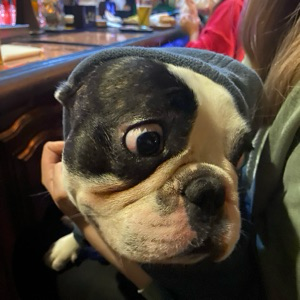 Станислав Воробьев