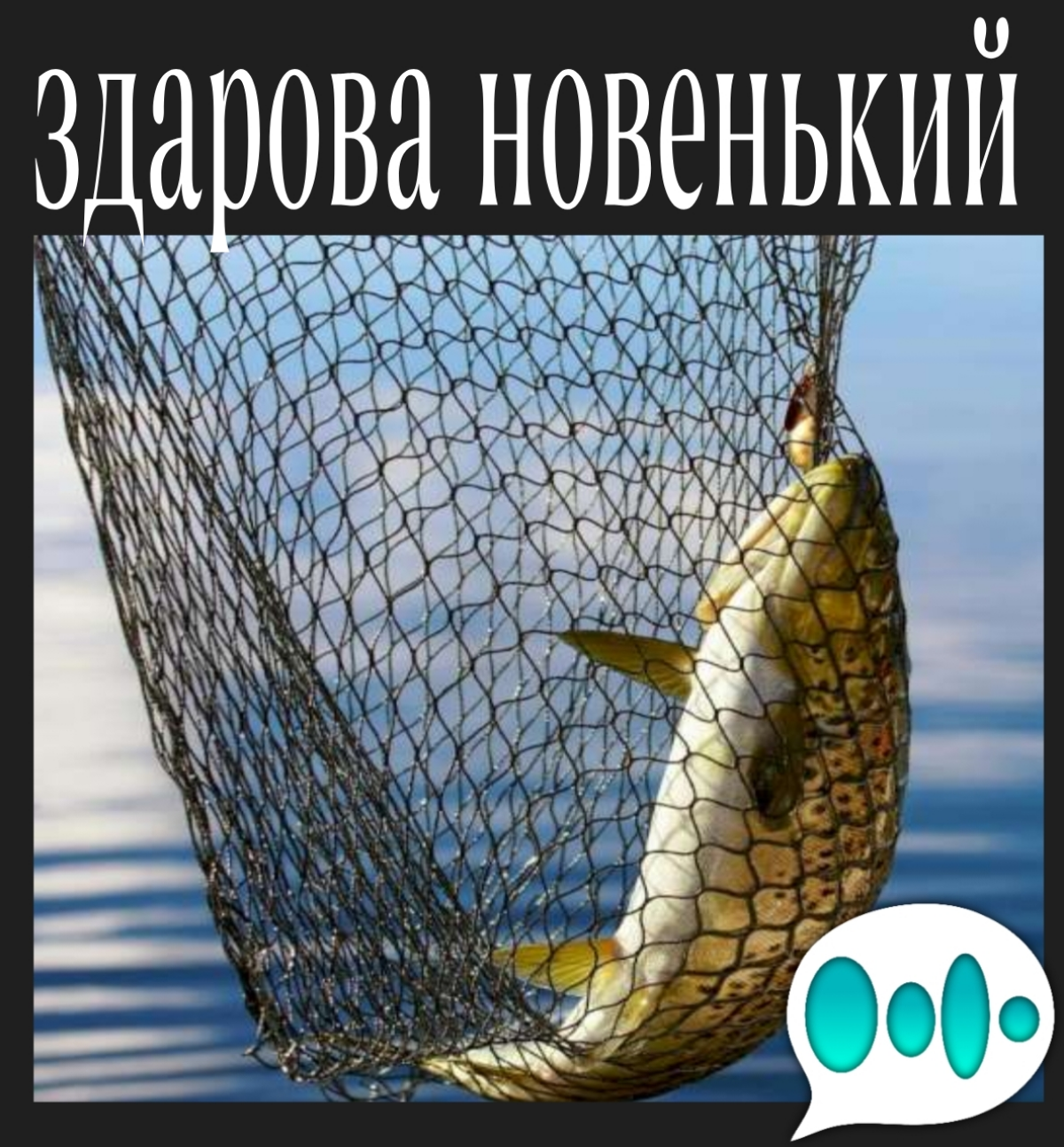 Как я зашёл в эту соцсеть😉 | Сетка — социальная сеть от hh.ru