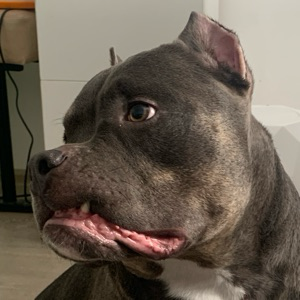 Серебрянский Олег | Сетка — социальная сеть от hh.ru