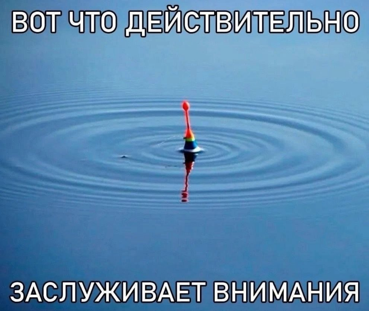 Welcome Zone | Сетка — социальная сеть от hh.ru