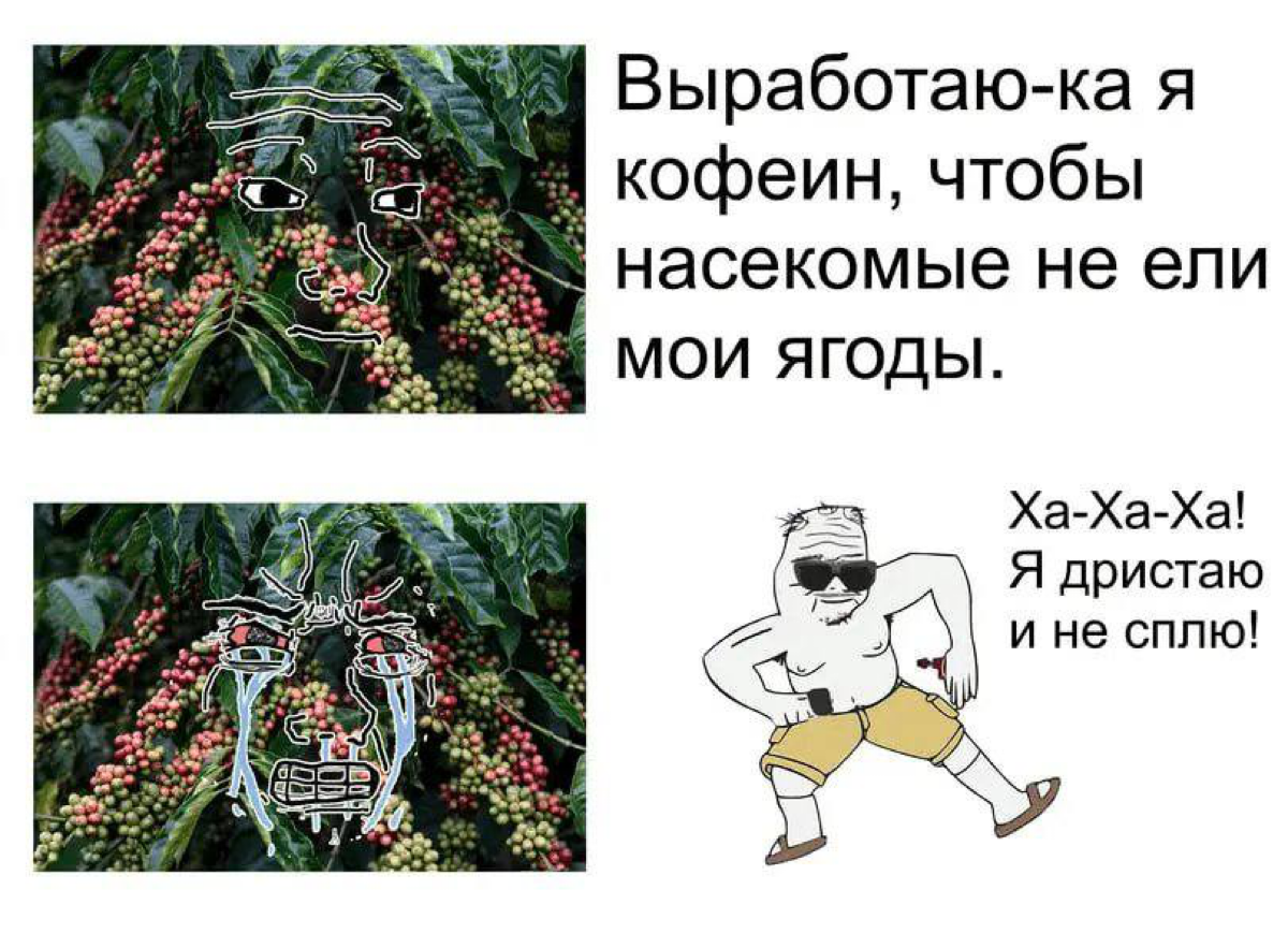 А вы чем стимулируетесь для работы? | Сетка — социальная сеть от hh.ru