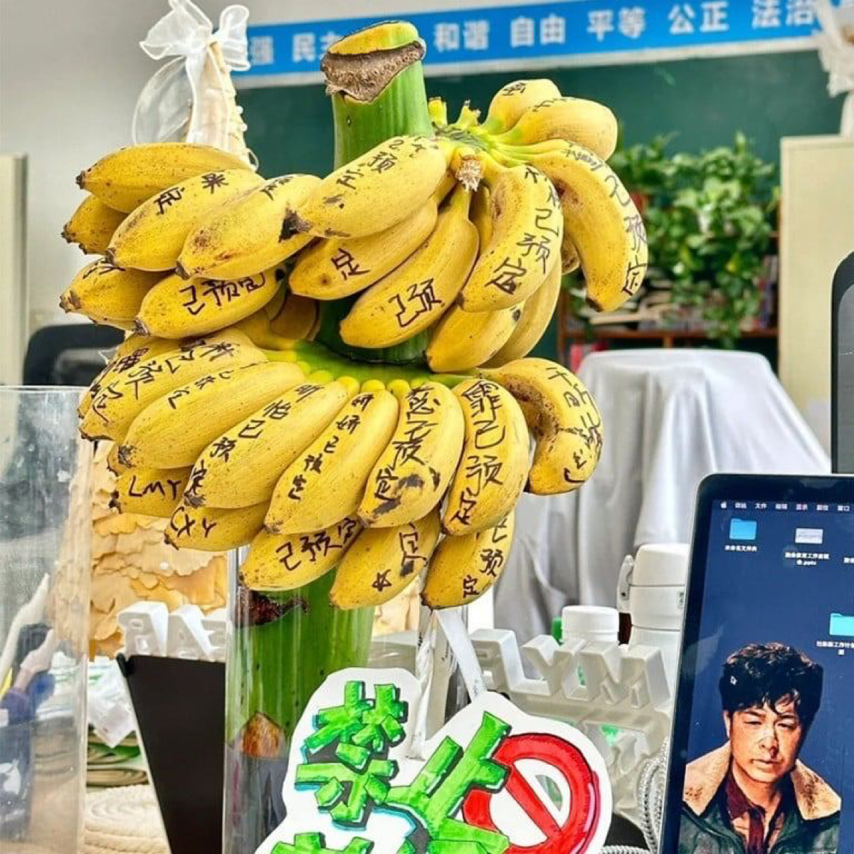 Забавно, но в Китае изобрели новое «лекарство» от выгорания на работе — выращивание бананов прямо в офисе | Сетка — социальная сеть от hh.ru