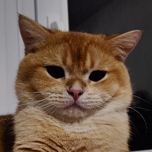 Егор Сумкин | Сетка — социальная сеть от hh.ru