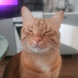 Алексей Панов