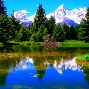 Евгений Фефилатьев