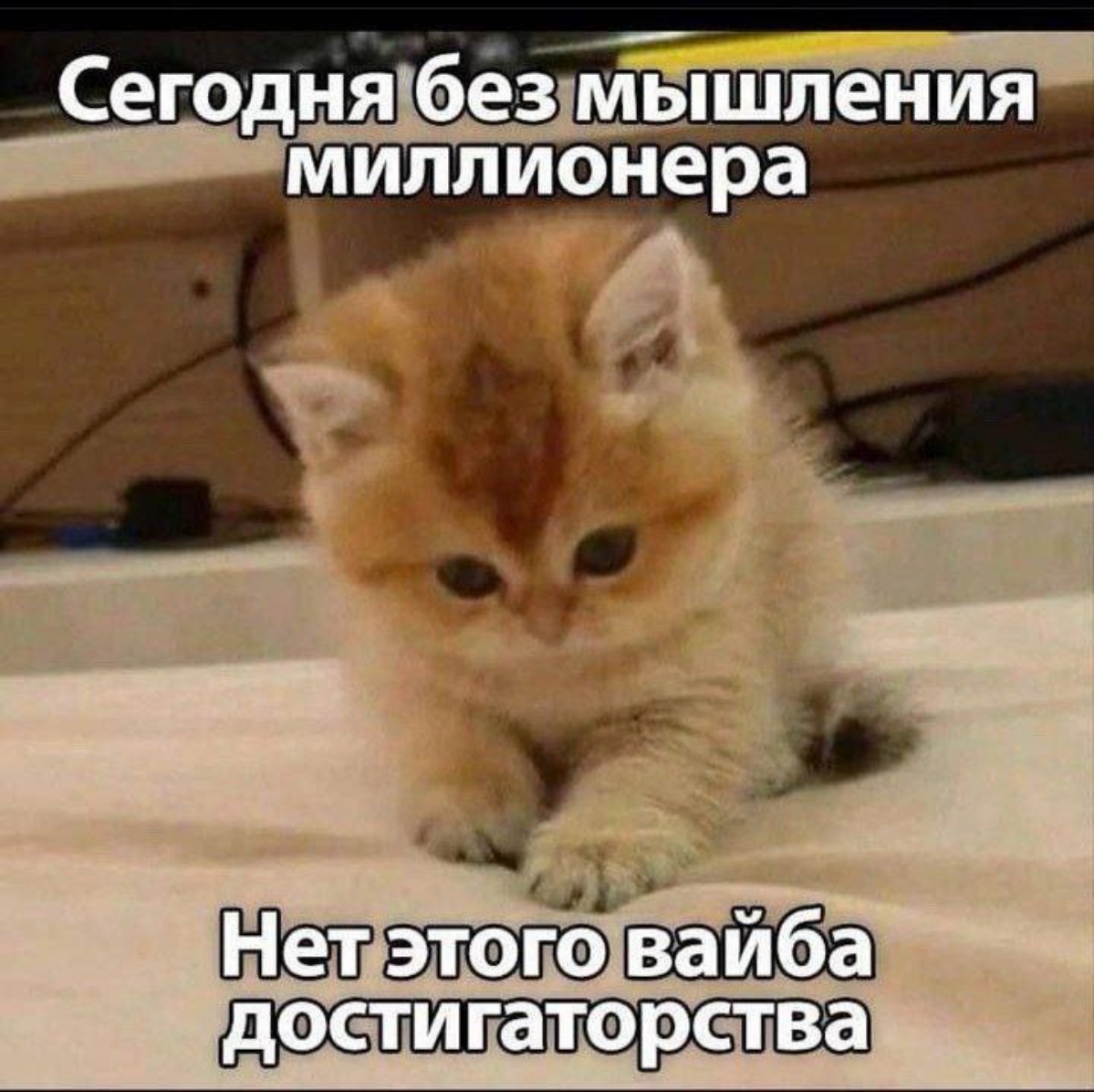 #мемнаяпятница | Сетка — социальная сеть от hh.ru