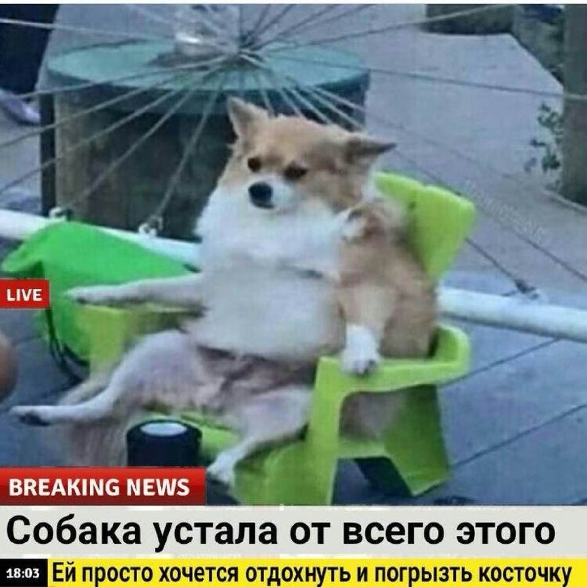 Муд вечера пятницы: | Сетка — социальная сеть от hh.ru