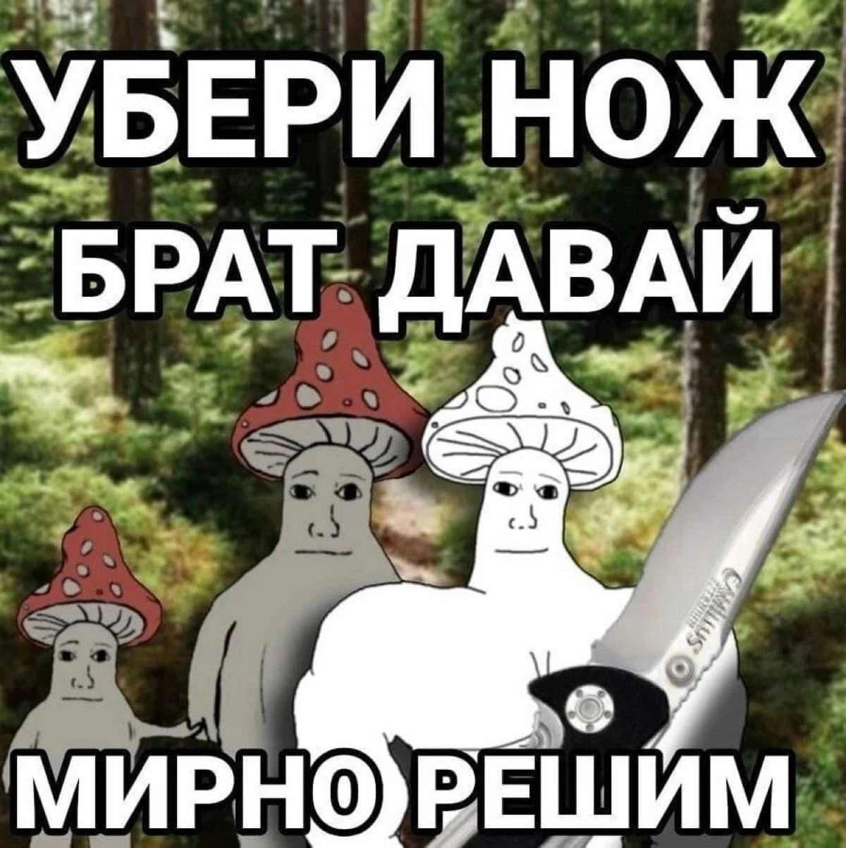 С грибами не спорю. | Сетка — социальная сеть от hh.ru