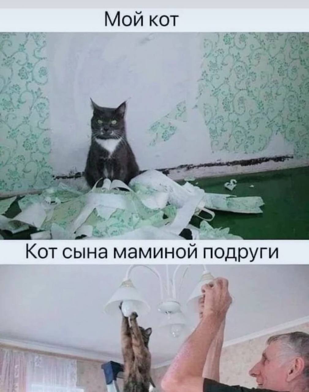 Всех с пятницей ❤️ | Сетка — социальная сеть от hh.ru