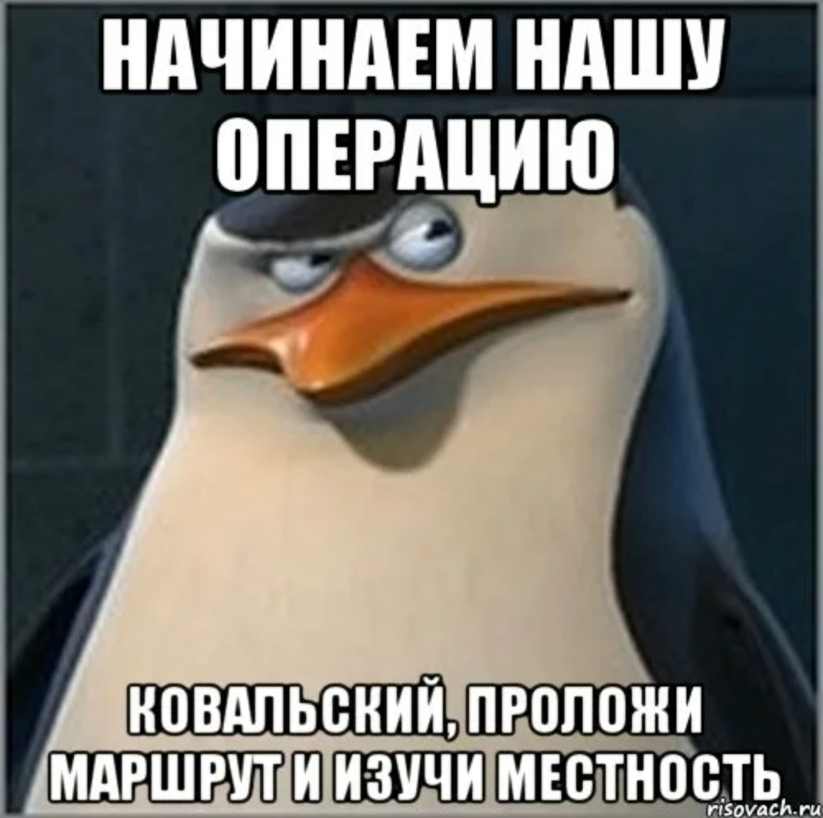 😱Не зная броду, не суйтесь в воду 3/6 | Сетка — социальная сеть от hh.ru