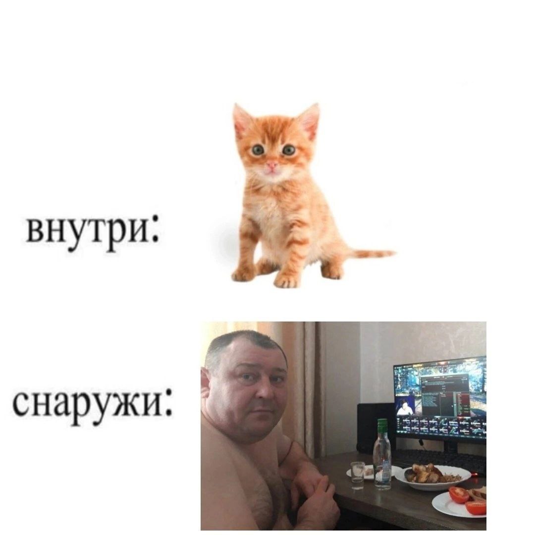Сетка — социальная сеть от hh.ru