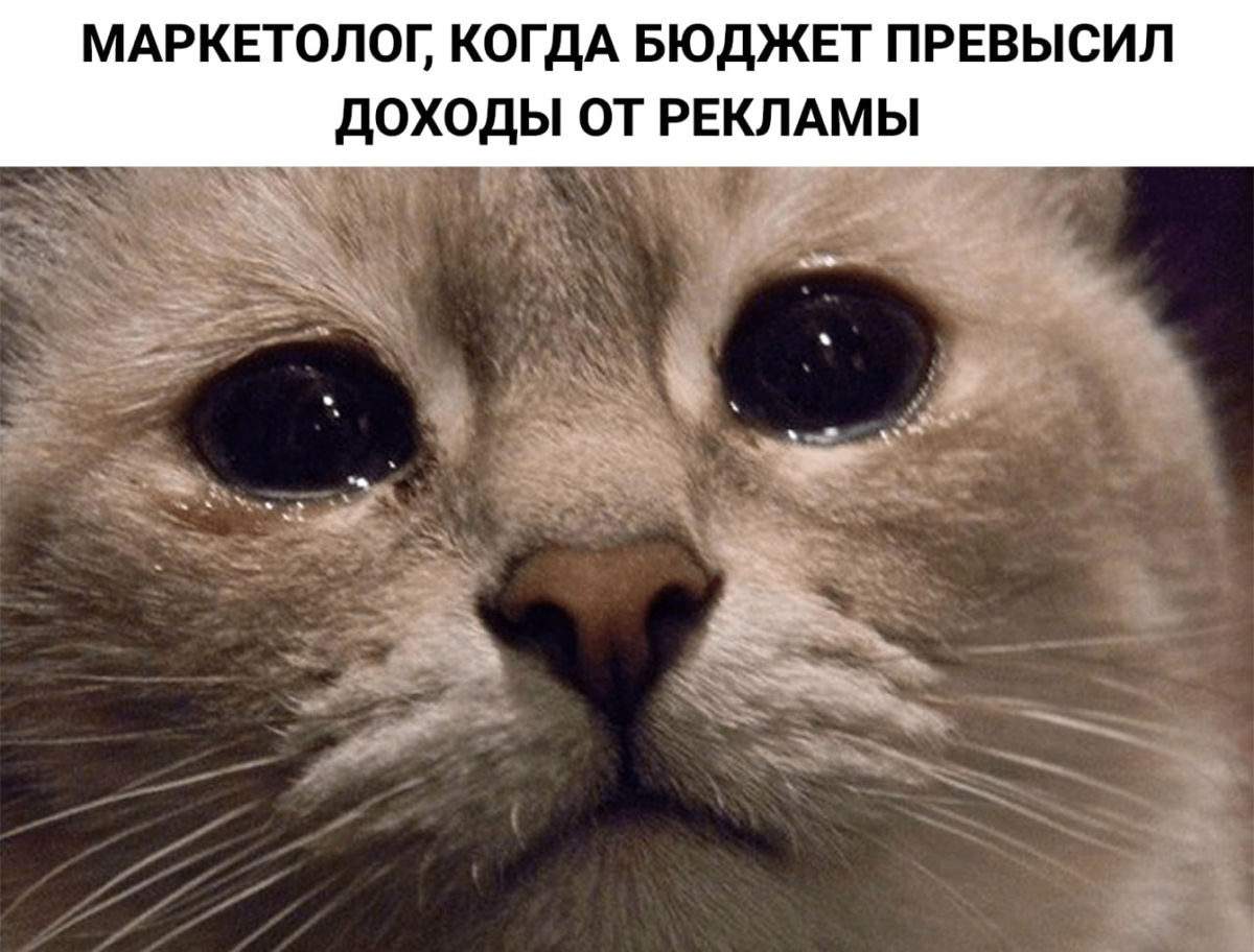 Как сделать рекламу окупаемой, увеличив LTV клиента с помощью ретаргетинга?
Всем знакома ситуация, когда рекламный бюджет превышает доходы с рекламы | Сетка — социальная сеть от hh.ru