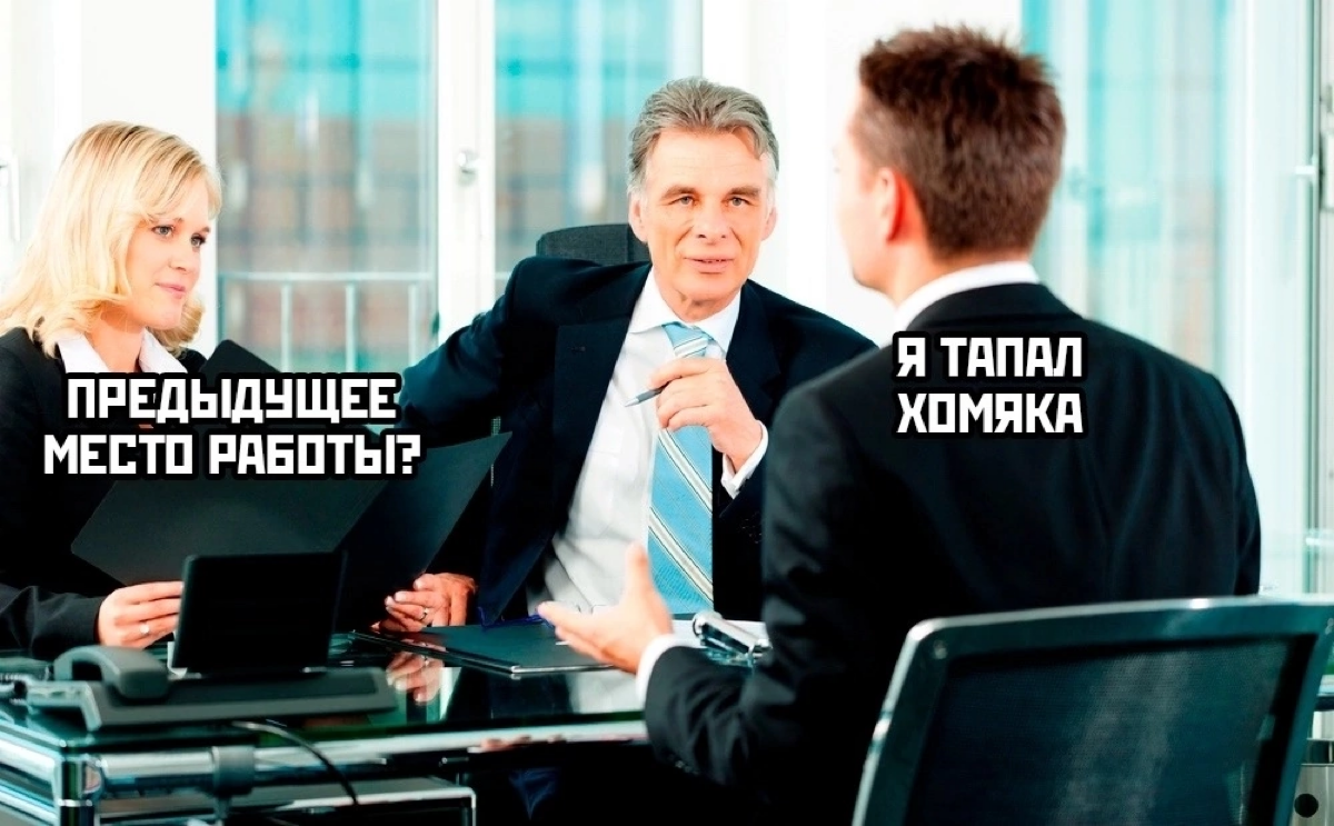 Коротко о собеседованиях в 2025 🐹 | Сетка — социальная сеть от hh.ru
