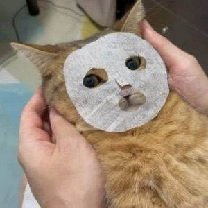 Вячеслав Ефименко