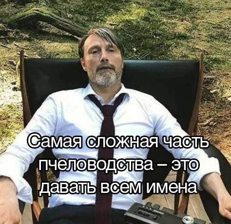 Привет, Сетка!
Меня зовут Фархад, мне 24 года и я на данный момент работаю бизнес-аналитиком в продуктовой команде в компании РТЛабс (Госуслуги)
Одним из направлений является узнаваемый многими Робот ... | Сетка — социальная сеть от hh.ru
