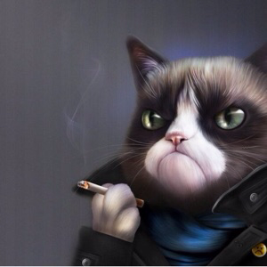 Павел Кочетов | Сетка — социальная сеть от hh.ru