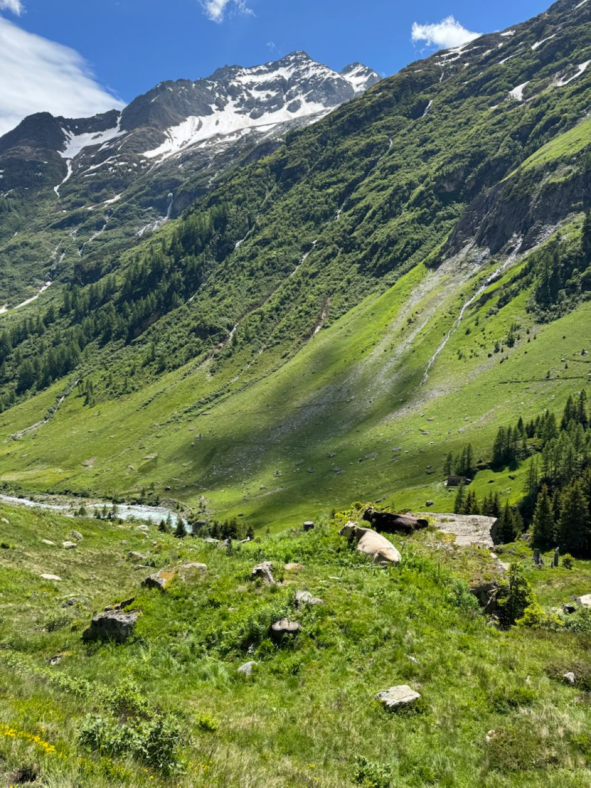 #путешествие
Швейцария
Скажи мне год назад, что я окажусь в Швейцарии — я бы не поверил | Сетка — социальная сеть от hh.ru