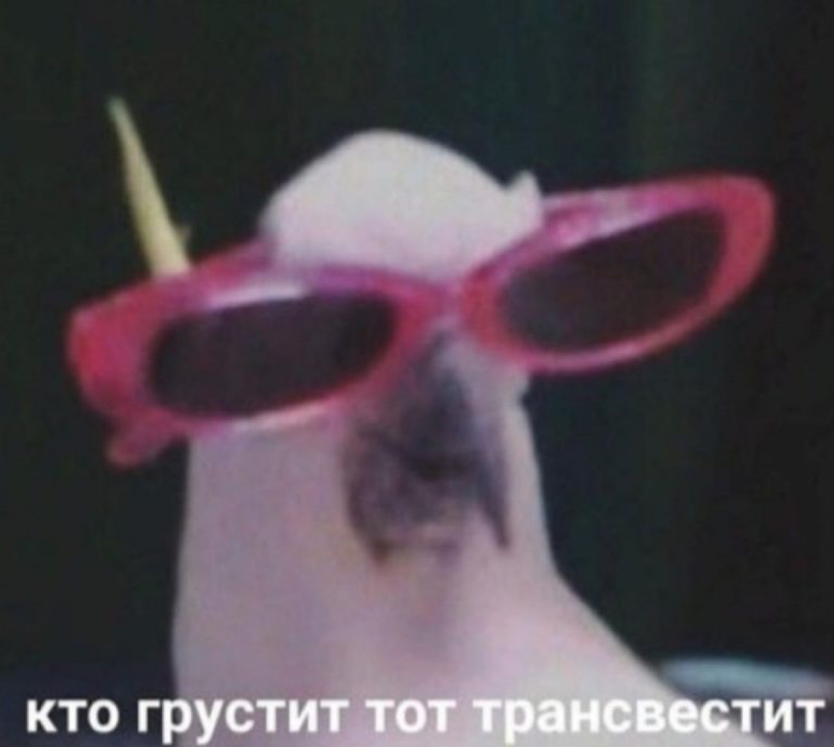 Улыбайтесь, пятница! | Сетка — социальная сеть от hh.ru