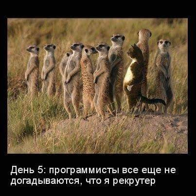 Как понять свои ценности? И почему это важно? | Сетка — социальная сеть от hh.ru