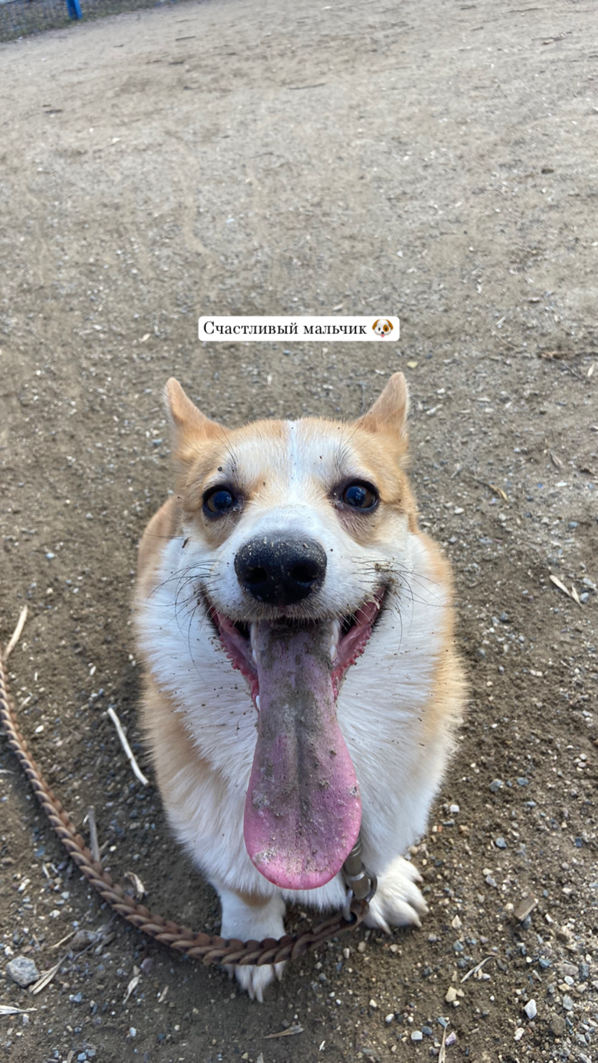 Вопрос! Как работодатели относятся к 3D-шникам вышедшим из графического дизайна?;)  
Работа вдохновленная моим песилем) 
В портфолио есть еще работы) 
https://www.artstation.com/artwork/qeRayD | Сетка — социальная сеть от hh.ru