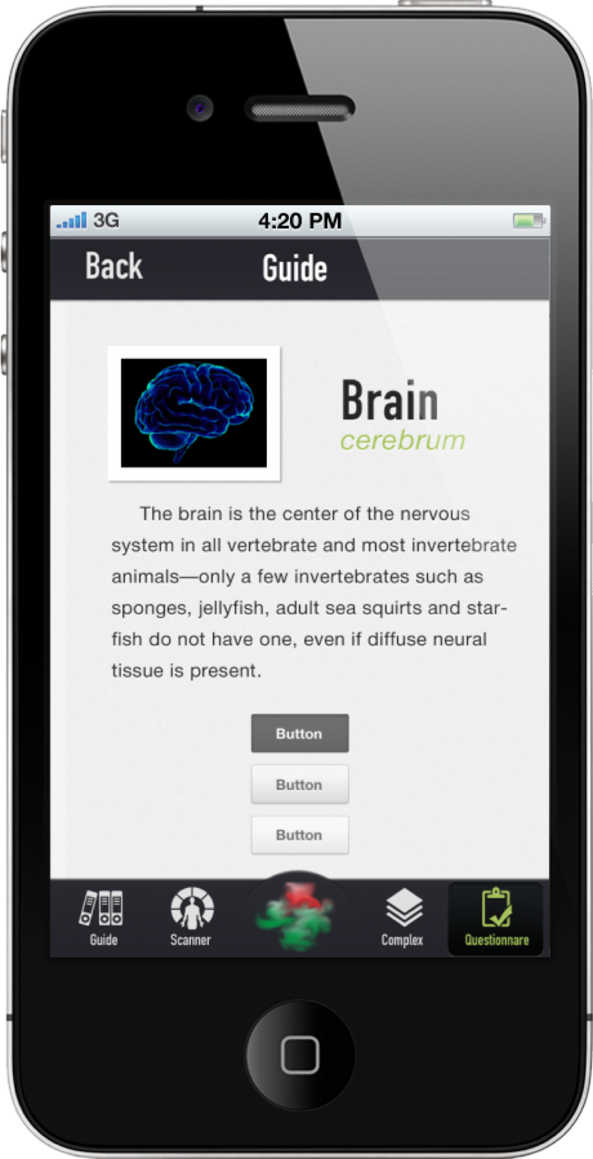 Network member avatar