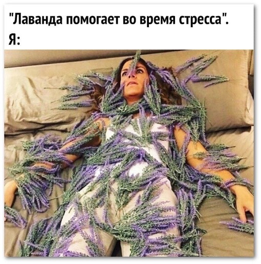 С пятницей, друзья! | Сетка — социальная сеть от hh.ru