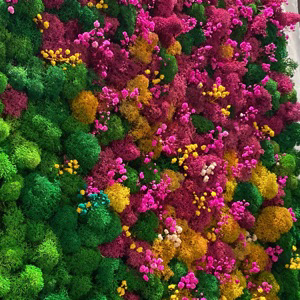 Lena Nikitina | Сетка — социальная сеть от hh.ru