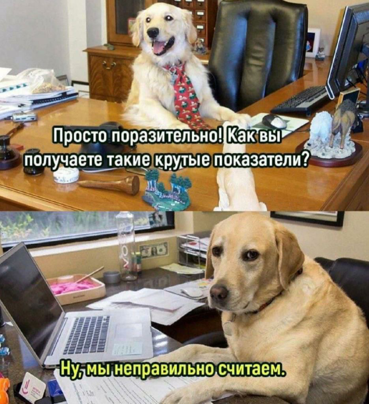 Коллеги, проверка связи😏
Какие у вас любимые мемы на работную тематику?
Я начну | Сетка — социальная сеть от hh.ru