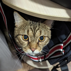 Александр Сергеевич | Сетка — социальная сеть от hh.ru