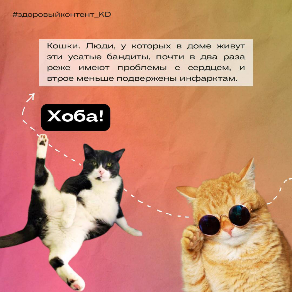 ЧЕ ТАМ ПО БЛАГОПОЛУЧИЮ?🤘🏼
Как у вас в компании дела обстоят, чем персонал балуется/заряжается?
Мы последние годы прям реально прониклись благополучием, здоровьем и темой спорта, Лига чемпионов бизнеса... | Сетка — социальная сеть от hh.ru