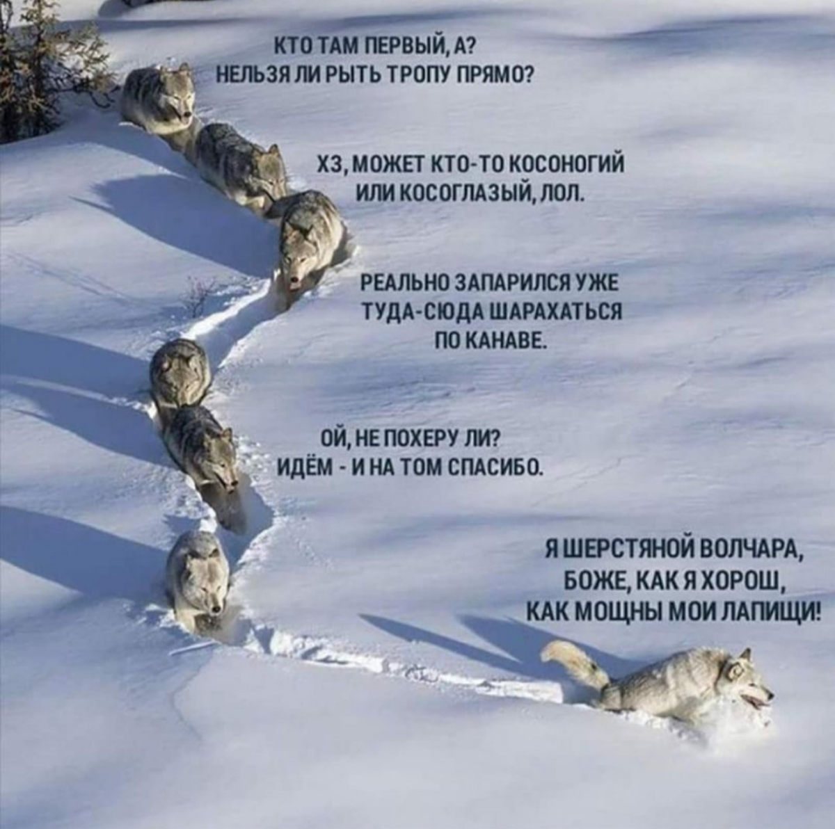 Таааак... Тестируем сетку | Сетка — социальная сеть от hh.ru