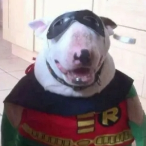 Максим Быков