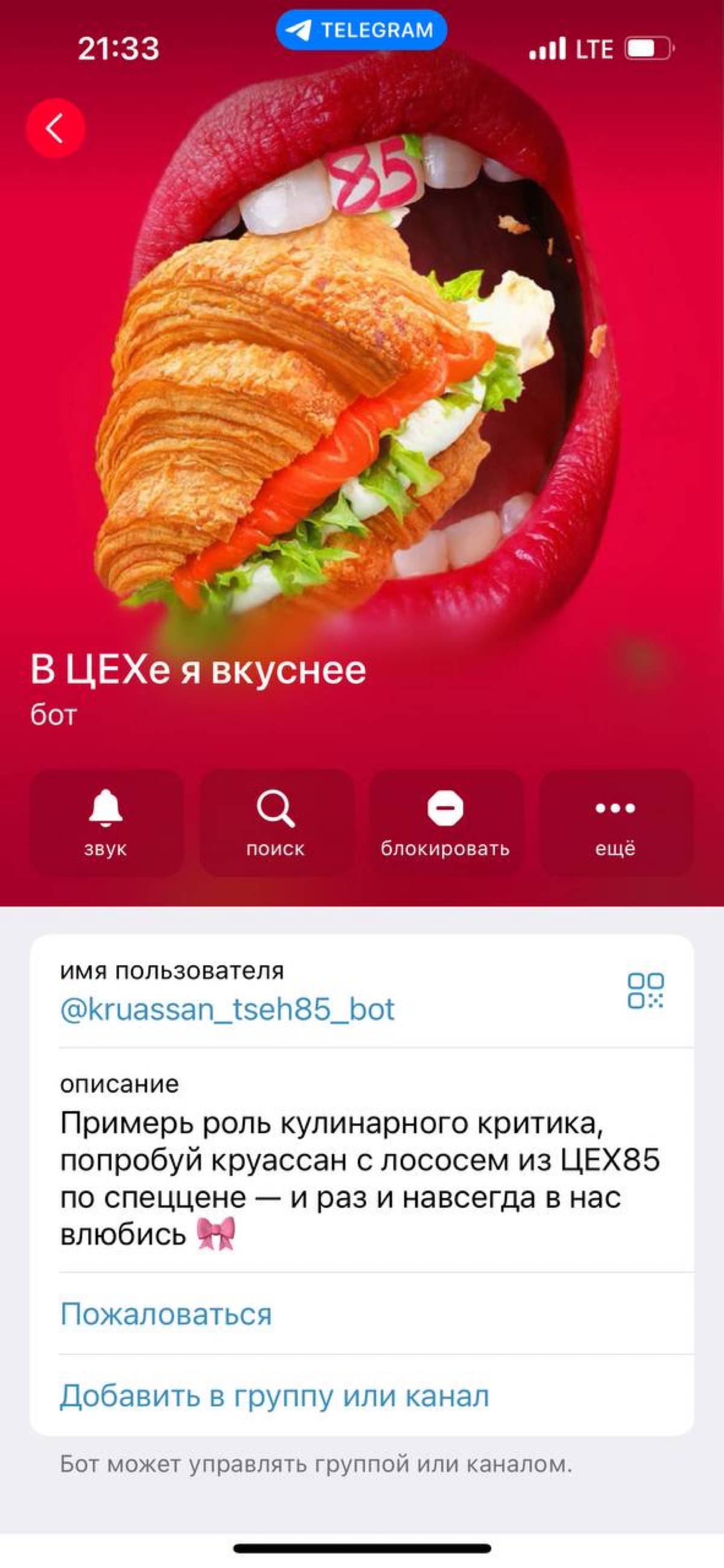 Собираем аудиторию с флаера в телеграм-бота | Сетка — социальная сеть от hh.ru