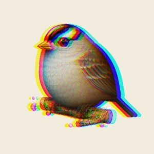 Павел Левицкий