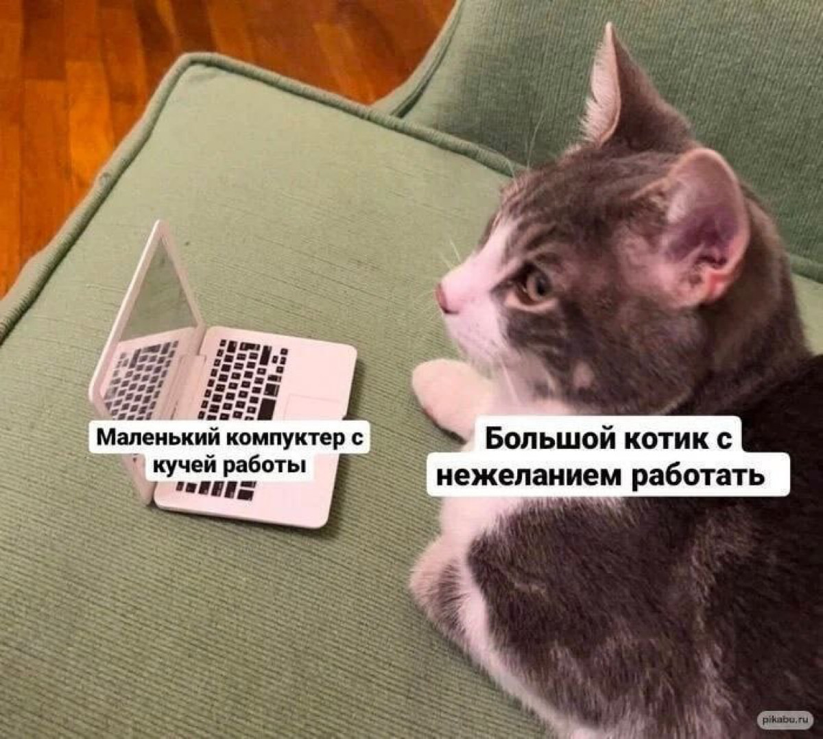 Главные ошибки руководителей в управлении проектом: | Сетка — социальная сеть от hh.ru