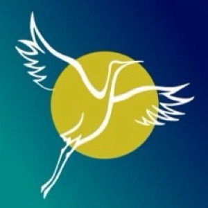 Галина Журавлева | инвестиционный советник