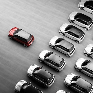 Car fleet (only managers)