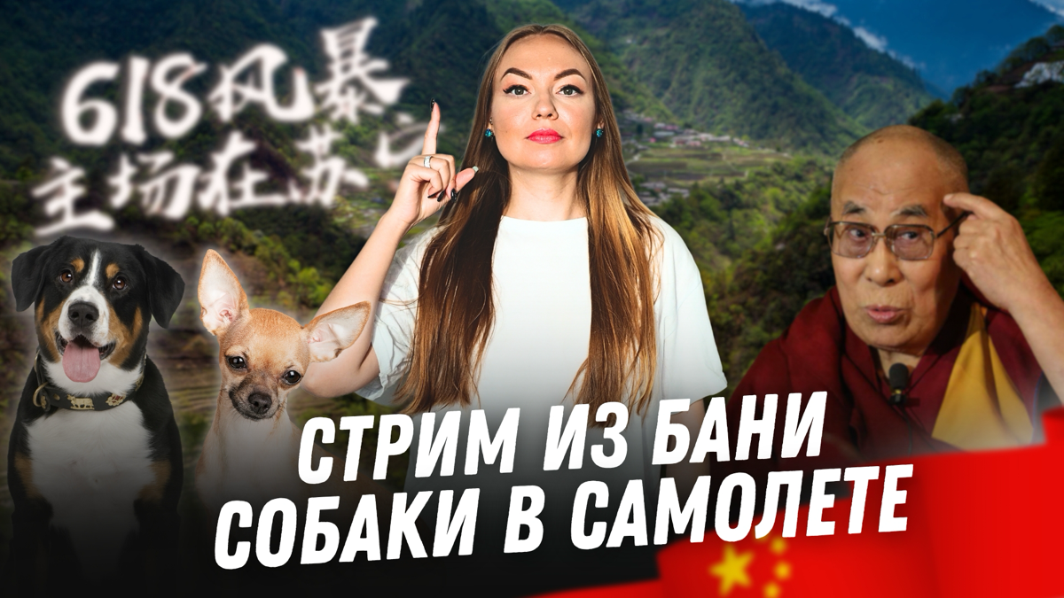 Новости Китая №55 | Собакам разрешили летать в салоне самоле | Сетка — социальная сеть от hh.ru