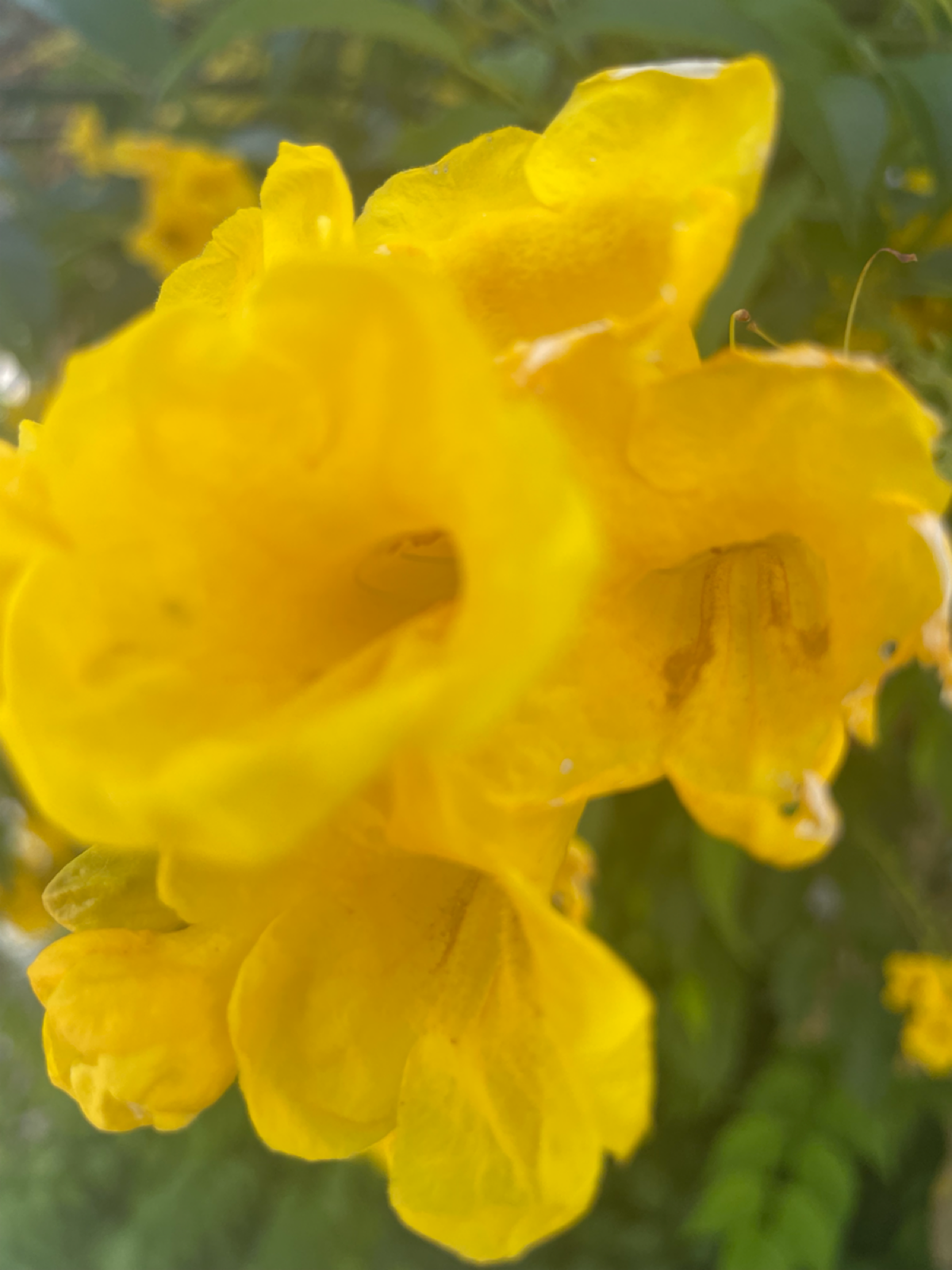 Иногда нужно перегрузиться. На др не удалось организовать, получилось после. 
Это я к тому, как часто мы перегружаемся, когда чувствуем израсходование текущих ресурсов? 
#деньрождения | Сетка — социальная сеть от hh.ru