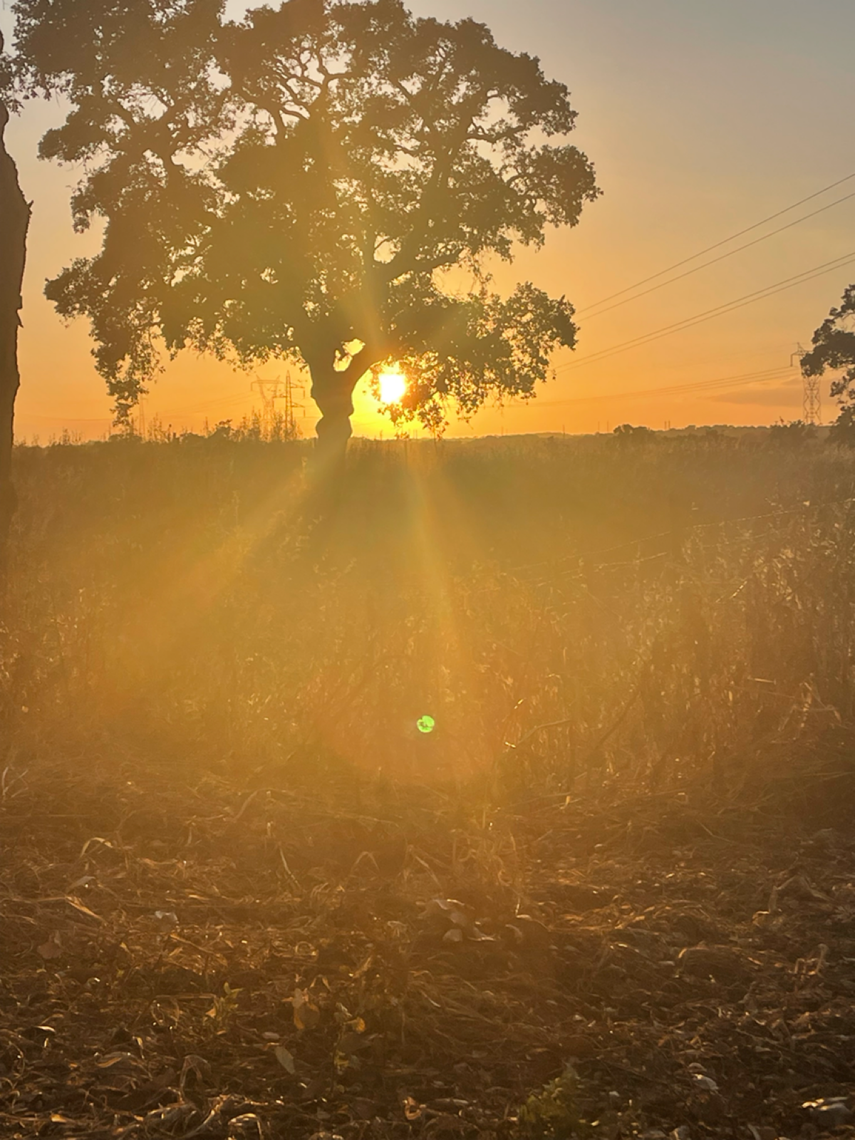 Иногда нужно перегрузиться. На др не удалось организовать, получилось после. 
Это я к тому, как часто мы перегружаемся, когда чувствуем израсходование текущих ресурсов? 
#деньрождения | Сетка — социальная сеть от hh.ru