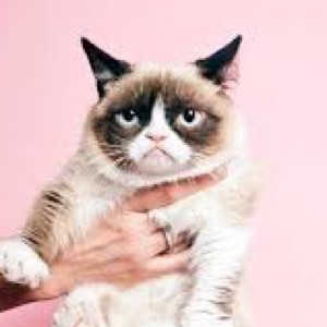 Анастасия Ховрошина | Сетка — социальная сеть от hh.ru