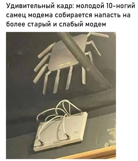 В мире киберживотных 😄 | Сетка — социальная сеть от hh.ru