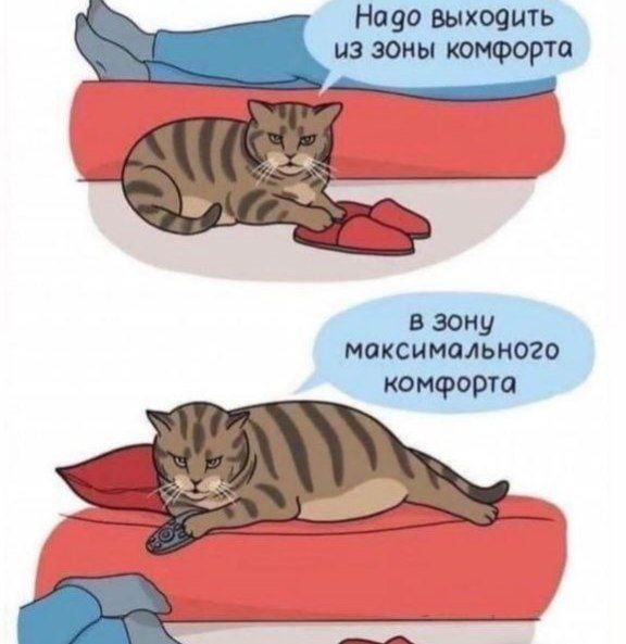 Считаю, что заходить в соцсеть нужно с мотивирующего мема | Сетка — социальная сеть от hh.ru