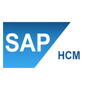 Консультант Sap-Hcm | Сетка — социальная сеть от hh.ru