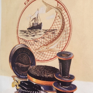 Виталий Апаликов