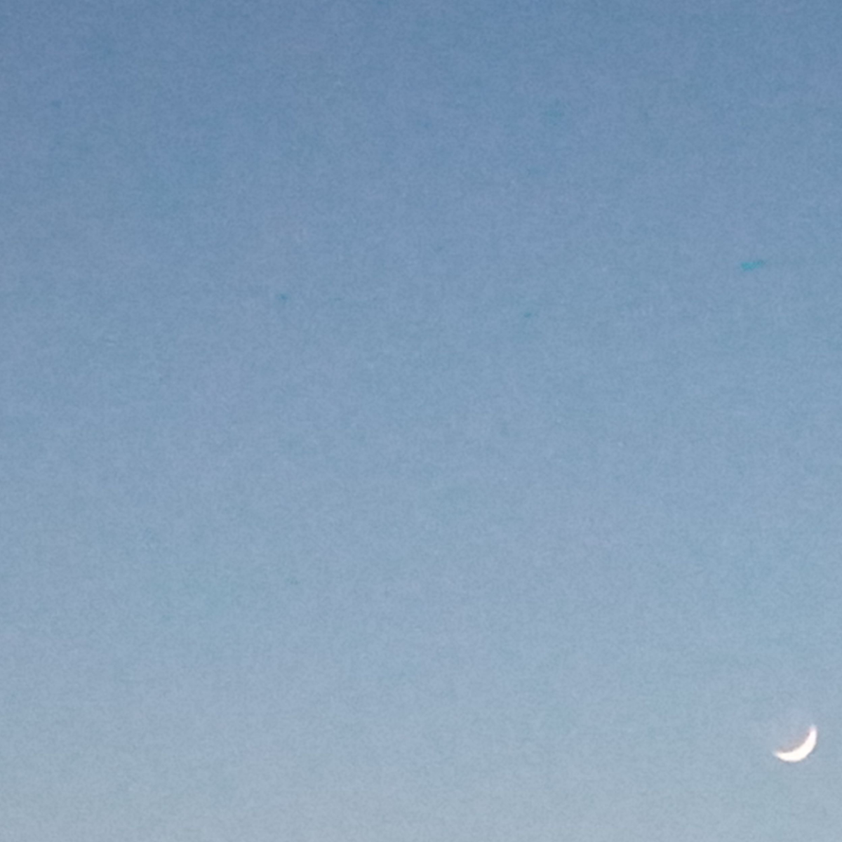 Рафаэль Бикмаев | Сетка — социальная сеть от hh.ru