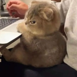 Арсен Мухаметшин